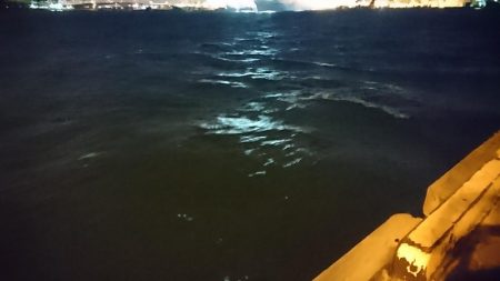 強風、南港タチウオ調査