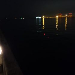 タチウオ釣れたらラッキーレベル