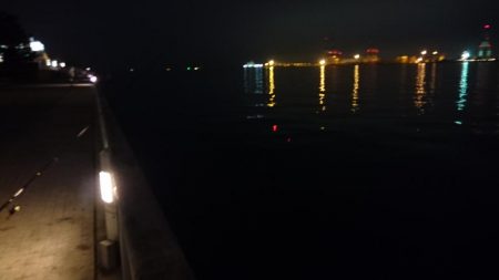 タチウオ釣れたらラッキーレベル