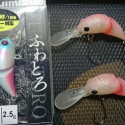 潮を見て実績ポイントでのヒット!