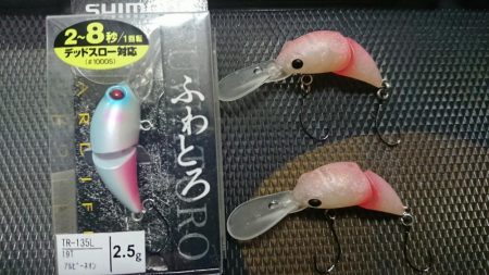 潮を見て実績ポイントでのヒット!