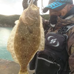 三重ヒラメ調査