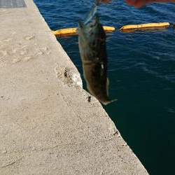 ライト・ワインド