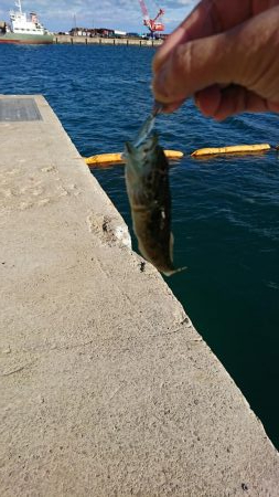 ライト・ワインド