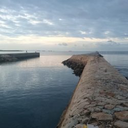 朝マズメでロック