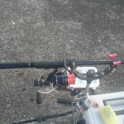 急に寒くなりましたが水温は、大丈夫そうです。