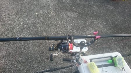 急に寒くなりましたが水温は、大丈夫そうです。