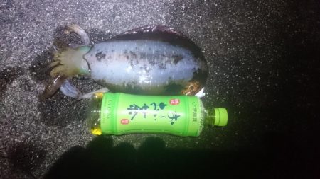 サイズアップしてきてますね！