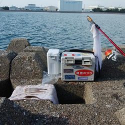 東二見水道で落ちギス釣り