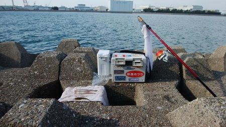 東二見水道で落ちギス釣り