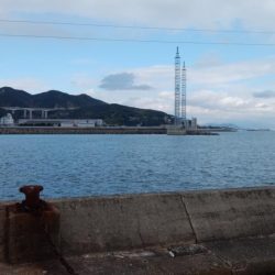 浦港でキス釣り