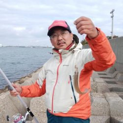 播磨新島・東二見水道共にキスが居ません