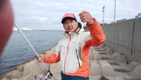 播磨新島・東二見水道共にキスが居ません