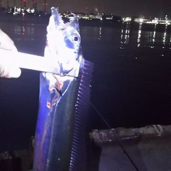 両親と今年最後？の釣り。