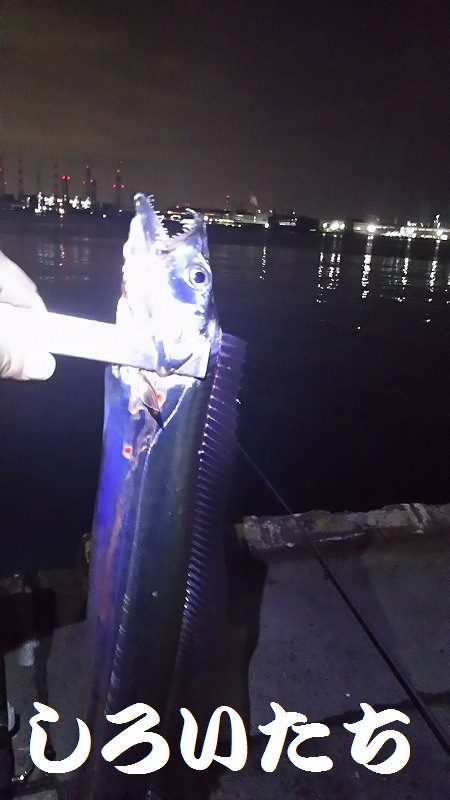 両親と今年最後？の釣り。