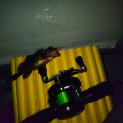 釣り納めゴムボート