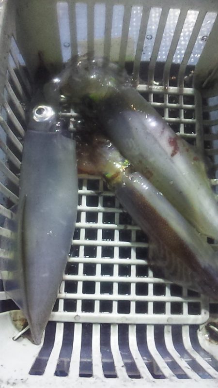 シーズン終了間際