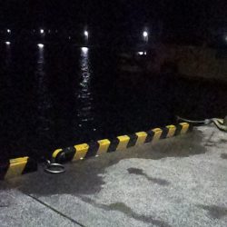 メバリング初挑戦