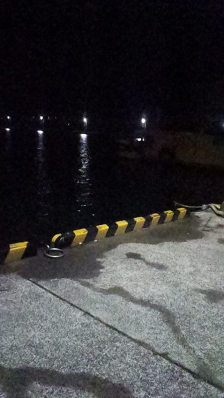 メバリング初挑戦