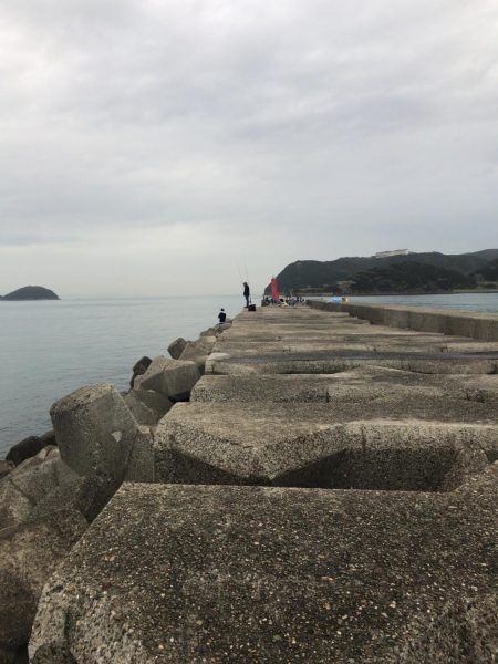 ショアジギング