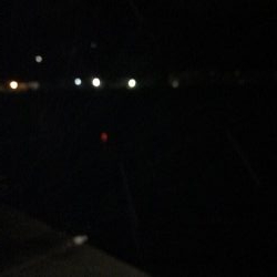 本命は釣れず！