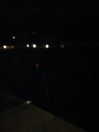 本命は釣れず！