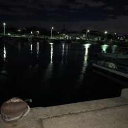 今シーズン初のメバルのはずが……