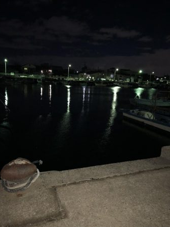 今シーズン初のメバルのはずが……