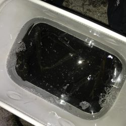 芦屋浜アジング