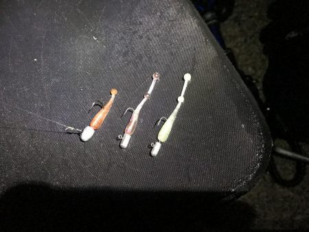 メバルとガシラ