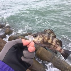 冬将軍と穴釣り