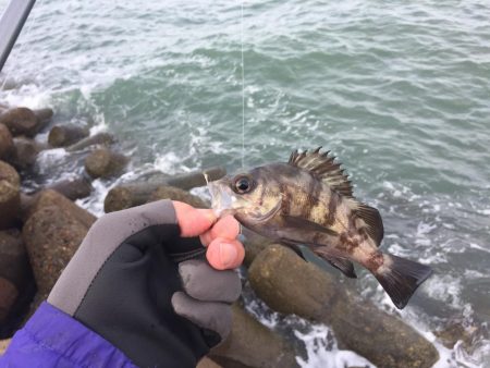 冬将軍と穴釣り