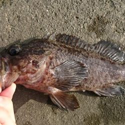 江井ヶ島漁港・江井ヶ島海岸