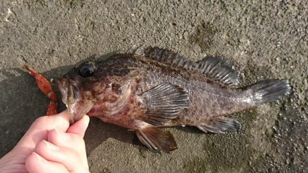 江井ヶ島漁港・江井ヶ島海岸