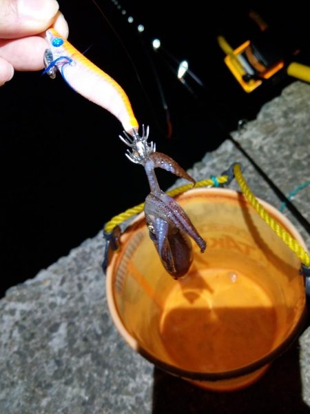 ヒイカエギング