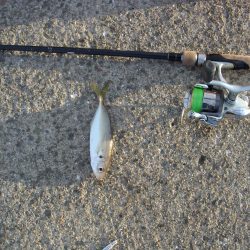 鳴尾浜魚釣公園