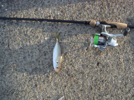 鳴尾浜魚釣公園