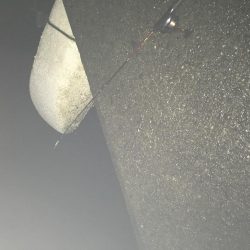 ネンブツダイ祭り