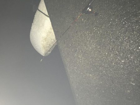 ネンブツダイ祭り