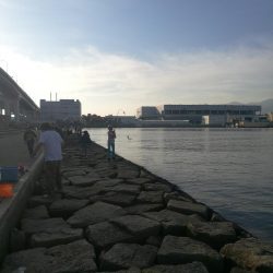 night&dayアジング