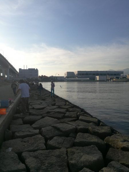 night&dayアジング