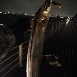 シーサイドでタチウオF5!