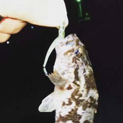 中紀ライトゲーム