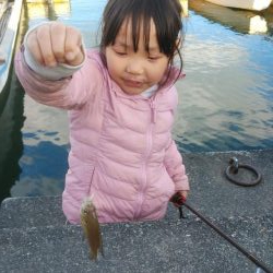 クリスマス家族サービス？