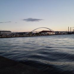 まだまだタチウオ居てますね