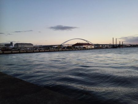 まだまだタチウオ居てますね