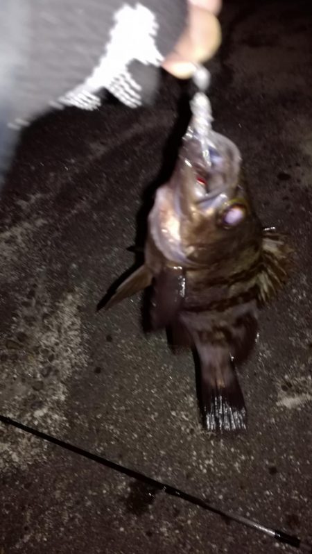 ロックフィッシング