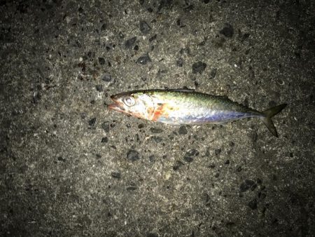 ヒットしたのに