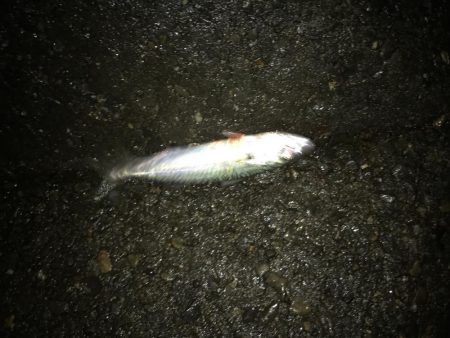 まだ可能性を感じる