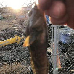 大潮 強風 寒い